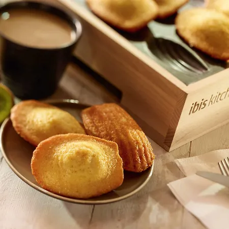 Ibis Toulouse Aeroport Μπλανιάκ