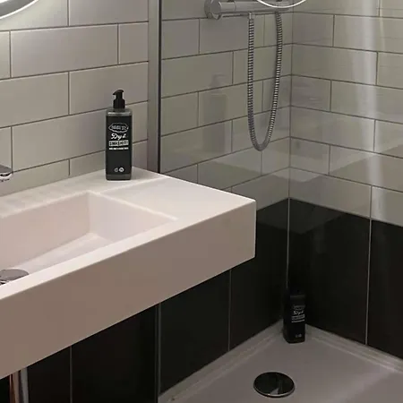 Ibis Toulouse Aeroport 3* בלנאק