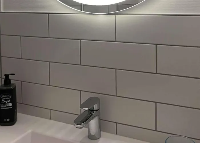 Ibis Toulouse Aeroport 3* בלנאק